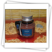 30 ml Pigment-Tinte Kupfer